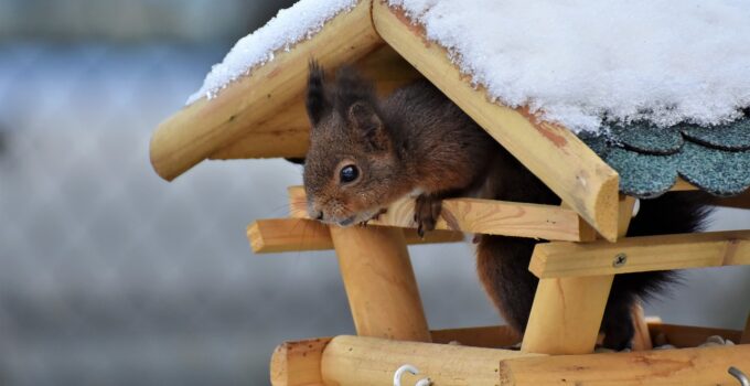 animal tiny house